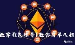如何查询数字钱包账号？