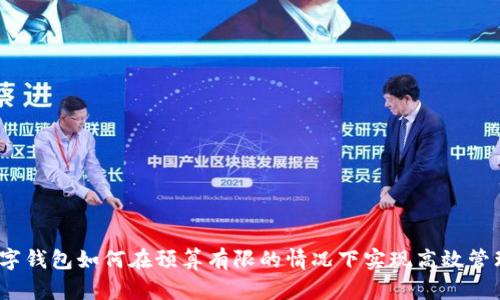 数字钱包如何在预算有限的情况下实现高效管理？