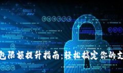 数字钱包限额提升指南：轻松搞定你的支付需求