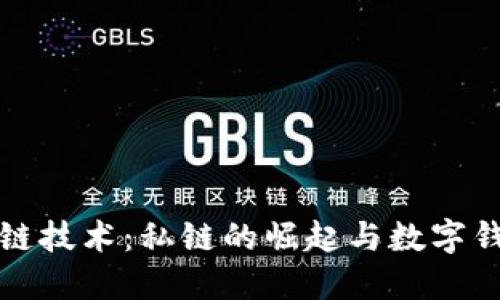 探索区块链技术：私链的崛起与数字钱包的未来