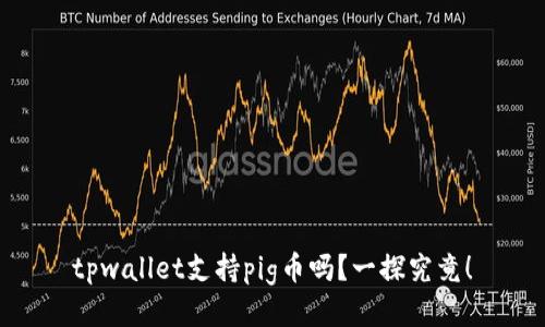 tpwallet支持pig币吗？一探究竟！