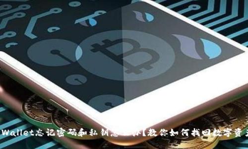 TPWallet忘记密码和私钥怎么办？教你如何找回数字资产！
