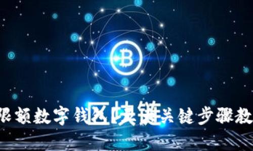 如何办理无限额数字钱包？五大关键步骤教你轻松实现！