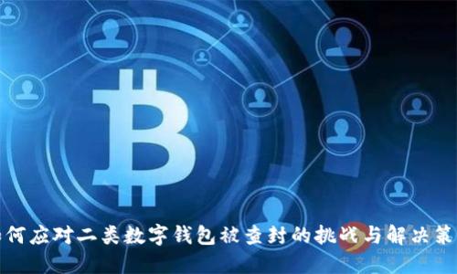 如何应对二类数字钱包被查封的挑战与解决策略