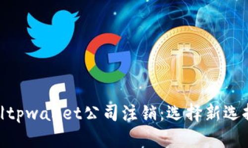  Аԥсуа|vq_12802|tpwallet公司注销：选择新选择，重新开始的决策与反思