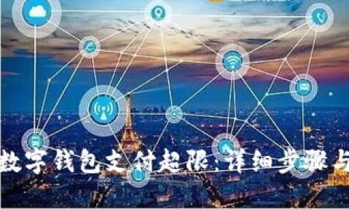 如何解除数字钱包支付超限：详细步骤与解决方案