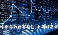 如何选择适合你的数字钱包：全面指南与实用建