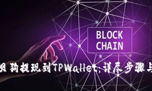 如何将宝贝狗提现到TPWallet：详尽步骤与注意事项