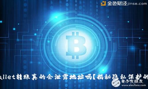 TPWallet转账真的会泄露地址吗？揭秘隐私保护的真相