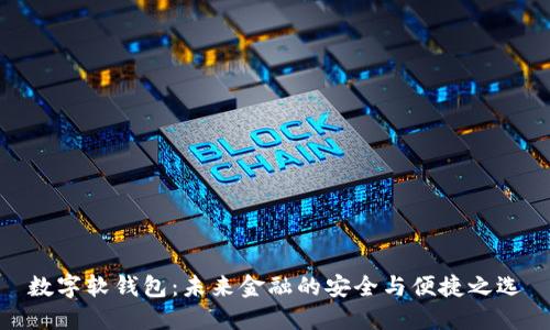 数字软钱包：未来金融的安全与便捷之选