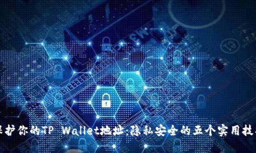 保护你的TP Wallet地址：隐私安全的五个实用技巧