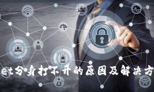 TPWallet分身打不开的原因及解决方法详解