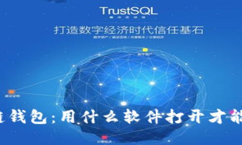 揭秘区块链钱包：用什么软件打开才能安全无忧？