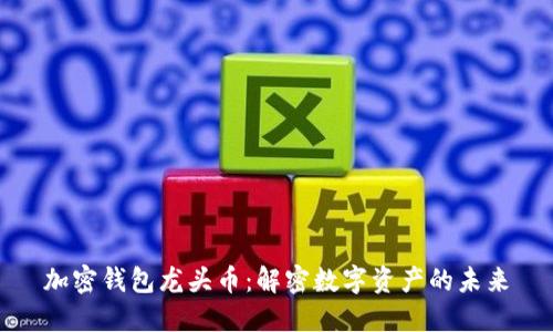 加密钱包龙头币：解密数字资产的未来