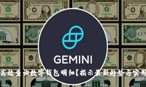 如何高效查询数字钱包明细？揭示最新趋势与实用技巧