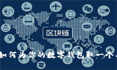 创意无限：如何为你的数字钱包取一个有趣的名字