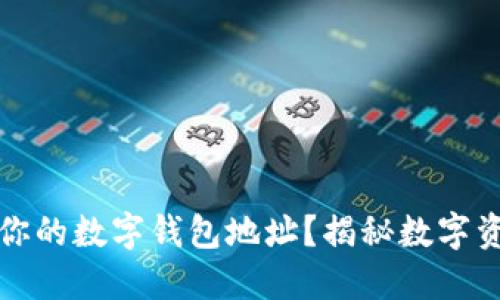 如何快速查找你的数字钱包地址？揭秘数字资产管理的秘诀