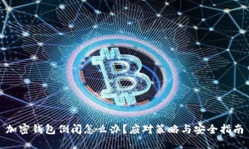 加密钱包倒闭怎么办？应对策略与安全指南