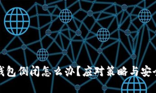 加密钱包倒闭怎么办？应对策略与安全指南
