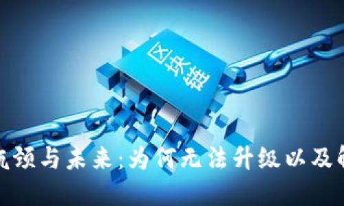 数字钱包的瓶颈与未来：为何无法升级以及解决方案探讨