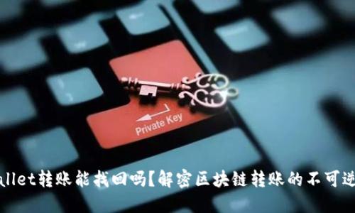 TPWallet转账能找回吗？解密区块链转账的不可逆特性