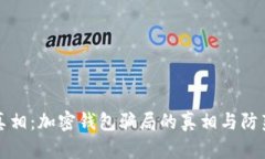 揭开真相：加密钱包骗局的真相与防范技巧