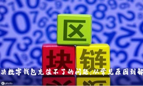 如何解决数字钱包充值不了的问题：从常见原因到解决方案