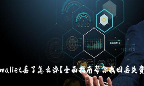 tpwallet丢了怎么办？全面指南帮你找回丢失资产