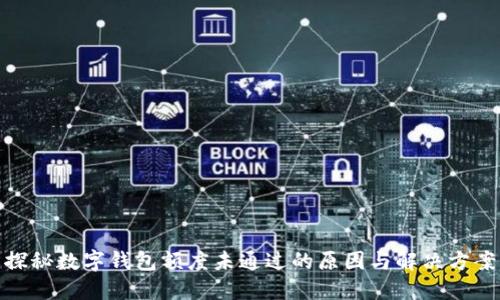 探秘数字钱包额度未通过的原因与解决方案