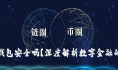 向数字钱包充钱包安全吗？深度解析数字金融的