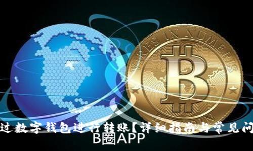 如何通过数字钱包进行转账？详细指南与常见问题解答