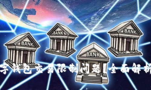 如何解决数字钱包交易限制问题？全面解析与应对策略