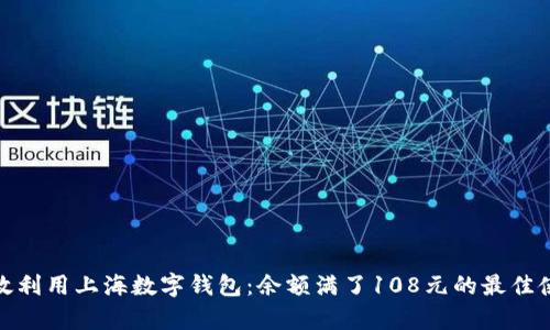 如何有效利用上海数字钱包：余额满了108元的最佳使用策略