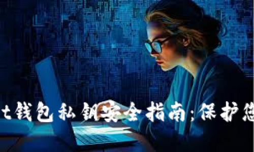 TokenPocket钱包私钥安全指南：保护您的数字资产