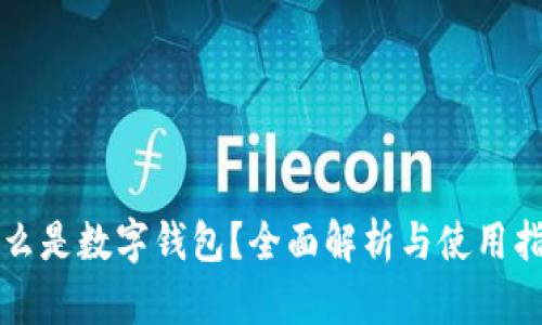 什么是数字钱包？全面解析与使用指南