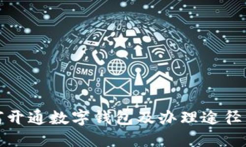 如何开通数字钱包及办理途径详解