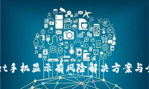 TPWallet手机显示有风险解决方案与全面指南