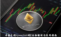币安支持tpwallet吗？全面解析与使用指南