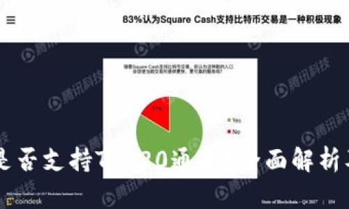 TPWallet是否支持TRC20通道？全面解析及使用指南