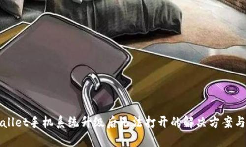 TPWallet手机系统升级后无法打开的解决方案与详解