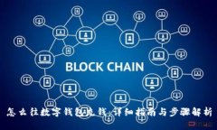 怎么往数字钱包充钱：详细指南与步骤解析