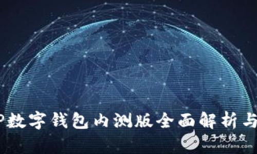 农行DCEP数字钱包内测版全面解析与使用指南
