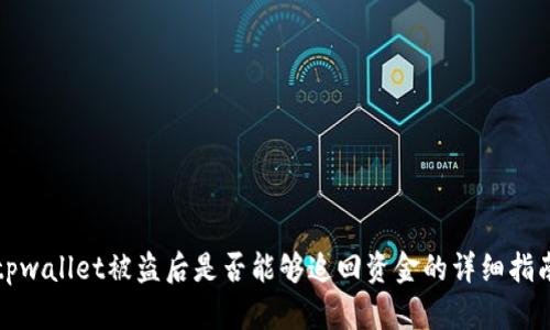 tpwallet被盗后是否能够追回资金的详细指南