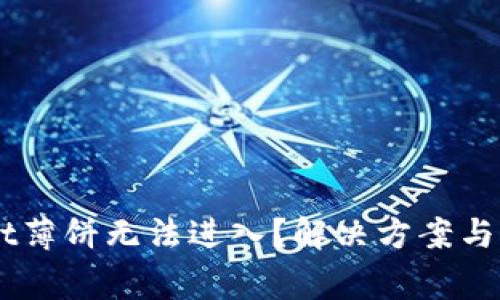 为什么TPWallet薄饼无法进入？解决方案与常见问题大解析