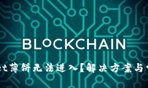 为什么TPWallet薄饼无法进入？解决方案与常见问题大解析