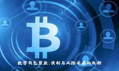 数字钱包贷款：便利与风险并存的选择