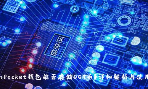 TokenPocket钱包能否存储DOT币？详细解析与使用指南