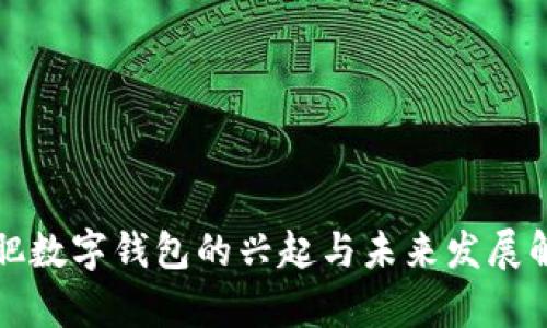 合肥数字钱包的兴起与未来发展解析