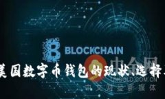 全面解析：美国数字币钱包的现状、选择及未来
