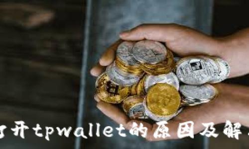   
无法打开tpwallet的原因及解决方法
